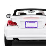 Silly Goose License Plate Frame: Aluminum Car Frame - Image 10