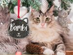 Personalized Cat Ornament for Pet Christmas Gift, Custom Christmas Cat Gift for Cat Lover, Christmas Ornament for Cat Owner Gift for Xmas - Image 7