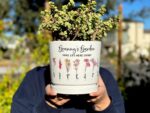 Grandmas Garden Gift for Grandma, Personalized Gifts for Mothers Day Gifts, Personalized Flower Pot, Birth Flower Mom Gifts from Daughter - Image 11
