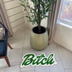 Custom Swear Word Rug, Funny Personalized Rug With Sassy Phrase, Vulgar Dorm Room Decor, Bold Gag Gift For Her, Custom Name Floor Mat - Image 11
