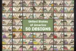USA 50 States SVG Bundle for Laser Cutting | Layered State Signs | Glowforge Files | CNC Laser Cut Vector | Instant Download - Image 3