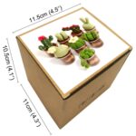 8 Pack Succulents Needle Felting Kits with Glass Pots - Mother's Day Present Craft Kit - Image 7