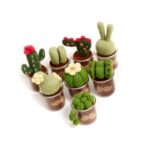 8 Pack Succulents Needle Felting Kits with Glass Pots - Mother's Day Present Craft Kit - Image 8