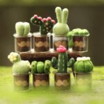 8 Pack Succulents Needle Felting Kits with Glass Pots - Mother's Day Present Craft Kit