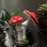 Red Mushroom Fairy Needle Felting Kit Mother's Day Present Easy for Beginners