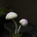 Blue and Red Mushroom Fairy Needle Felting Kits Gift for Mom Easy for Beginners - Image 4