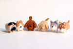Needle Felting Kit, Dog and Cat Craft, Merino Wool DIY - Image 3