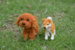 7 Animal Option Needle Felting Kits Craft Christmas Gift for Mom, Grandma, Kids - Image 3