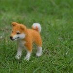 Shiba Inu Dog Needle Felting Kit - Beginner Craft Kit