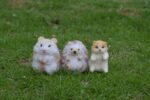 7 Animal Option Needle Felting Kits Craft Christmas Gift for Mom, Grandma, Kids - Image 4