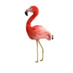 Birds Needle Felting Kit for Beginners DIY Bird Craft Kit Mother's Day Present - Image 5