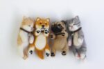 4 Animal Needle Felting Kits for Starters Craft Kit Gift for Mom, Grandma, Kids