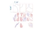 Modular Painting SVG Bundle. Laser cut file for Glowforge. Plants, leaves, floral layered frames - Image 5