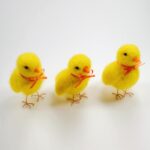 3 Mini Chick Felting Kits for Beginners DIY Craft Kit Include Everything to Make - Image 2