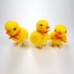3 Mini Chick Felting Kits for Beginners DIY Craft Kit Include Everything to Make - Image 4