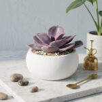Spherical Succulent Planter STL, Bonsai Style Mini Plant Pot for 3D Printing, Modern Minimalist Sphere Planter, Cactus Pot Digital