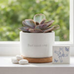 Spherical Succulent Planter STL, Bonsai Style Mini Plant Pot for 3D Printing, Modern Minimalist Sphere Planter, Cactus Pot Digital - Image 3