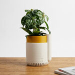 Self Watering Planter STL for 3D Printing, Modern Indoor Herb Pot, Minimalist Succulent Planter Digital Download, Smart Plant Pot STL