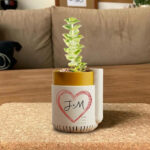Self Watering Planter STL for 3D Printing, Modern Indoor Herb Pot, Minimalist Succulent Planter Digital Download, Smart Plant Pot STL - Image 2