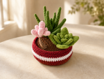 Crochet Succulent Pattern PDF, Amigurumi Plant Pot Pattern, Crochet Cactus Flower, DIY Home Decor Digital Download - Image 6