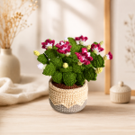 Crochet Plant Pattern Bundle PDF, Crochet Flower Pot Patterns, Amigurumi Houseplant Decor, English Crochet PDF - Image 5