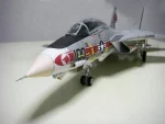 PaperCraft kit F-14A Tomcat airplane 3d paper model crafting kit PDF plans to print cut & glue DIY paper craft template hobby puzzle decor - Image 4