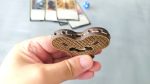 Laser Cut RPG Life Counter, Dragon Scale Engraving (svg, pdf, cdr) - Image 3