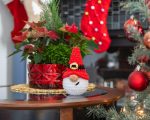 Crochet patterns Plushy gnome Santa, Christmas plushy Santa crochet gnome pattern, Crochet holiday ornaments, Amigurumi pattern Santa gnome - Image 5