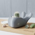 Cute Whale Planter STL File for 3D Printing, Minimalist Whale Succulent Pot, Cactus Planter Digital Download, Ocean Decor, Desk Planter STL - Image 4
