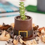 Pilgrim Hat Planter STL for 3D Printing, Thanksgiving Succulent Pot, Fall Decor Plant Pot Digital Download, Cute Autumn Cactus Planter STL - Image 5