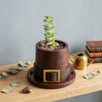 Pilgrim Hat Planter STL for 3D Printing, Thanksgiving Succulent Pot, Fall Decor Plant Pot Digital Download, Cute Autumn Cactus Planter STL - Image 7