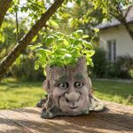 Tree Face Planter STL File for 3D Printing, Fantasy Garden Pot Digital Download, Woodland Plant Holder, Succulent Planter, Home Decor STL - Image 4
