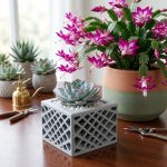 Star Spectrum Planter STL File for 3D Printing, Celestial Flower Pot Digital Download, Cosmic Succulent Planter, Modern Plant Holder - Image 4