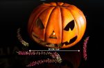 Leather Halloween Pumpkin Pattern: Jack-o'-lantern Template (PDF & DXF) - Image 3