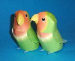 PaperCraft kit Love Parrots paper model crafting kit PDF plans to print cut & glue DIY paper craft template for hobby puzzle decor - Image 4