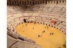 PaperCraft kit The Colosseum Rome detailed 3d paper model crafting kit PDF plans to print & DIY paper craft template for hobby puzzle decor - Image 5