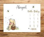 Custom Winnie-the Pooh Milestone Blanket, Tig.ger Piglet Eeyore Monthly Growth Cartoon Fleece Blanket, Newborn Nursery, Baby Shower Decor
