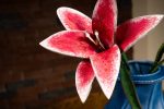 Spring Bloom Pattern (PDF & DXF) Leather DIY - Image 4