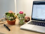 Crochet Cat Cactus Pattern | Low Sew Plush Toy | 2-in-1 Bundle (PDF Pattern) - Image 2