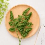 Fern Branch Crochet Pattern PDF, Realistic Crochet Fern Leaves, Greenery Crochet Pattern, Botanical Home Decor, Bouquet Filler Flower Digital Download - Image 7