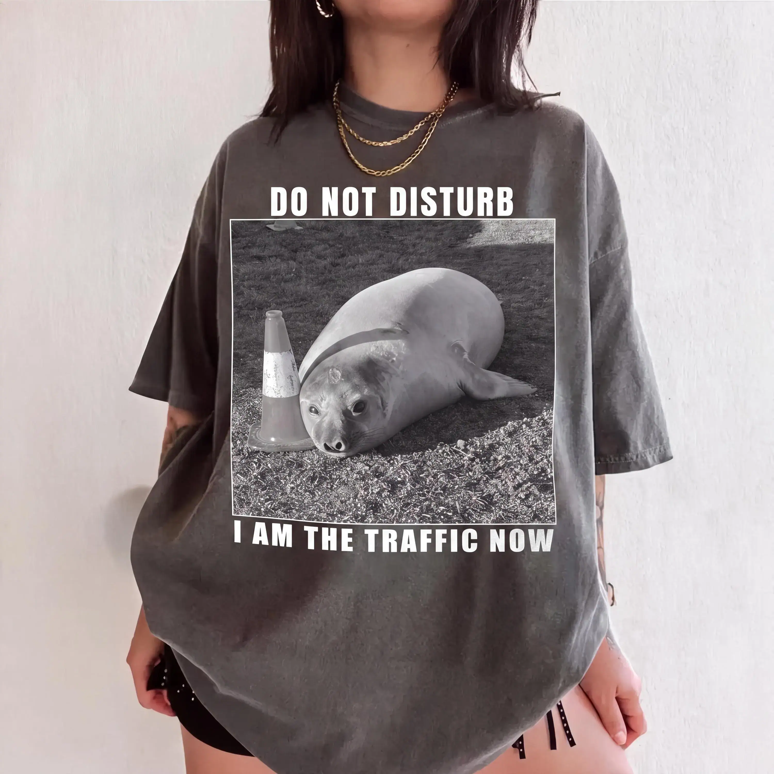 Neil The Seal Shirts, Do Not Disturb Tee, I Am The Traffic Now Top, Funny Vintage Animal Meme Unisex Tshirt, Cute Elephant Seal Graphic Tees